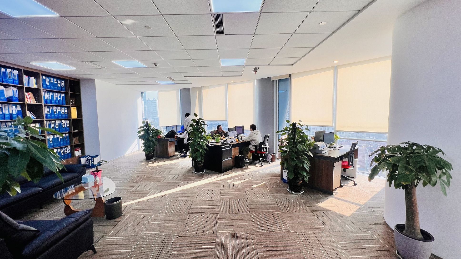 名称与在先商标权的处理