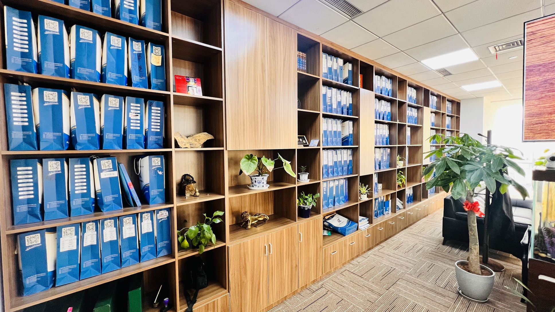 股权激励方案的对比